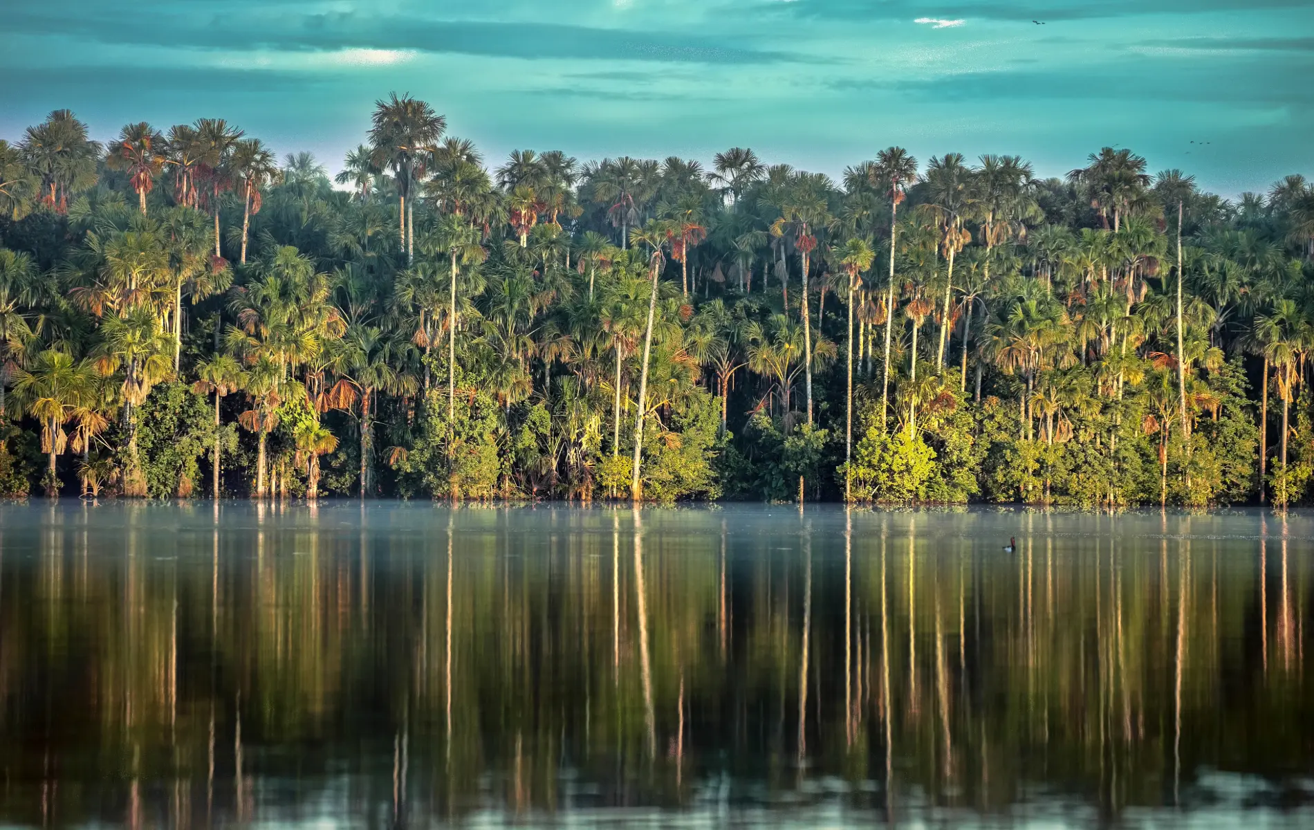 Manu Jungle Tours – Cusco to Manu National Park Peru (5 Days ...