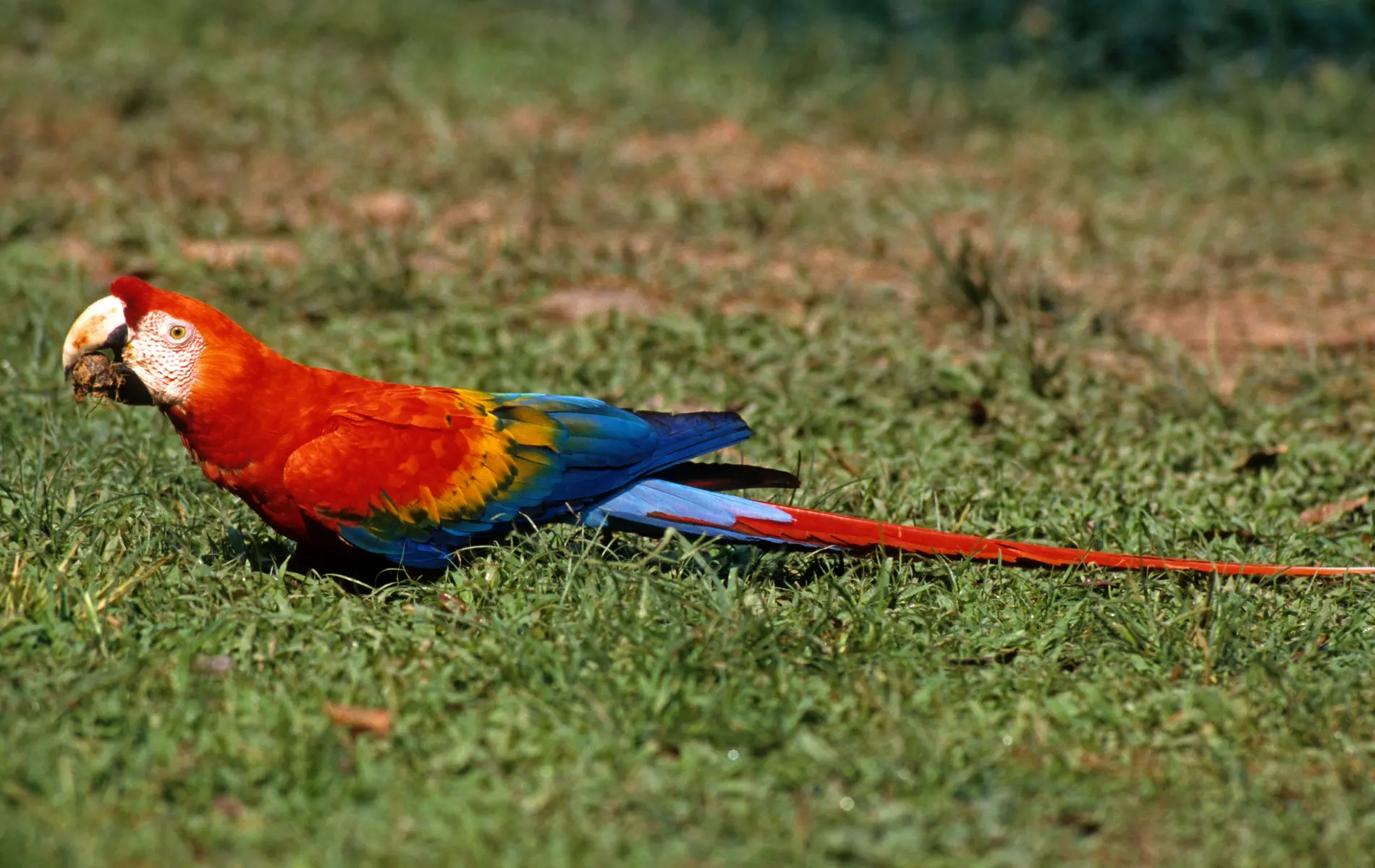 Sin título - 2025-01-04T122823.376