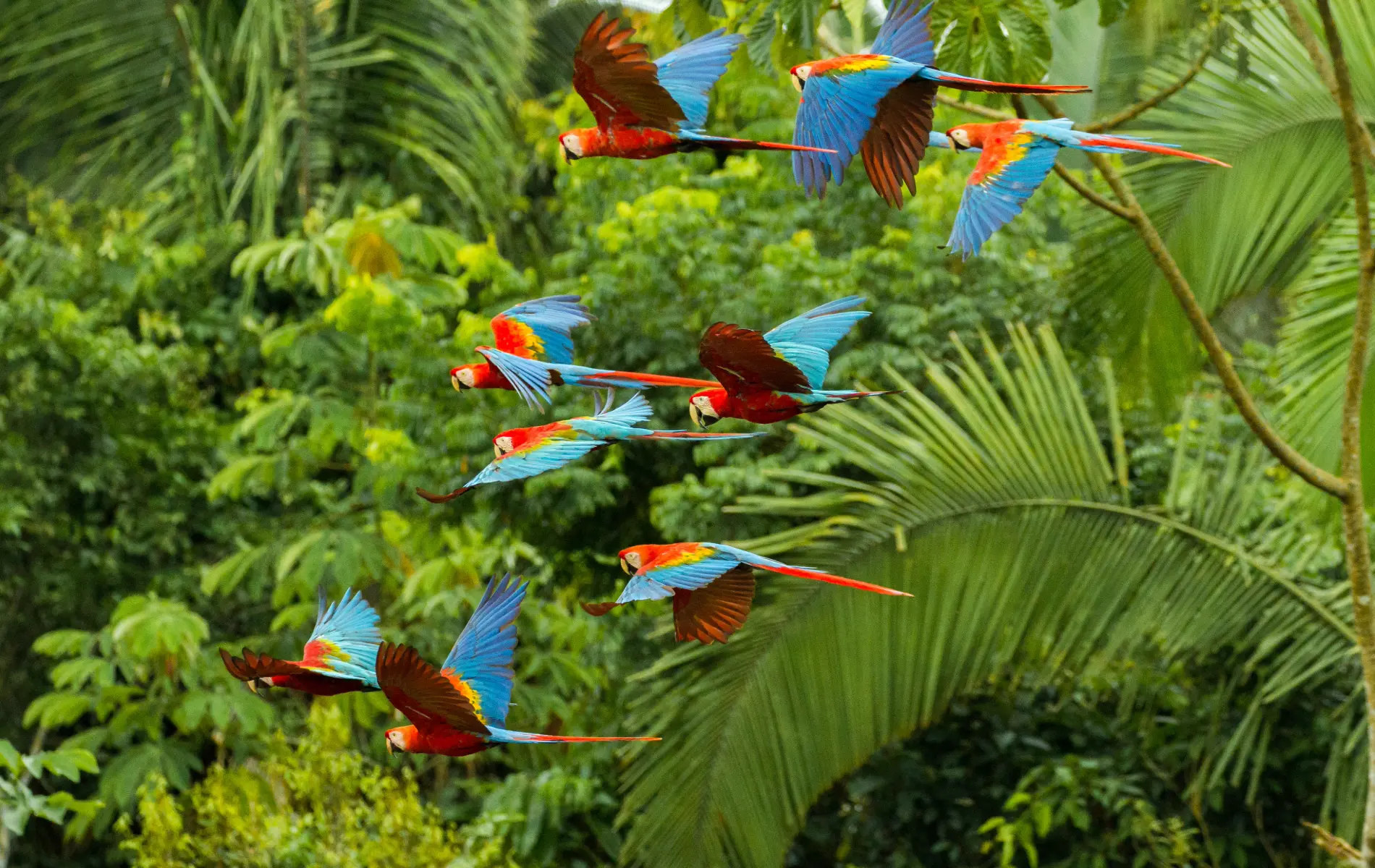 Sin título - 2025-01-04T122849.439