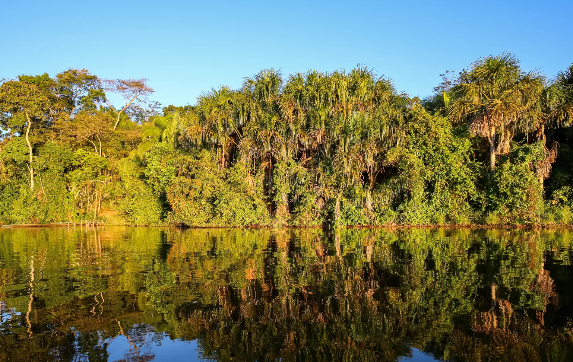 Sin título - 2025-01-04T122926.174