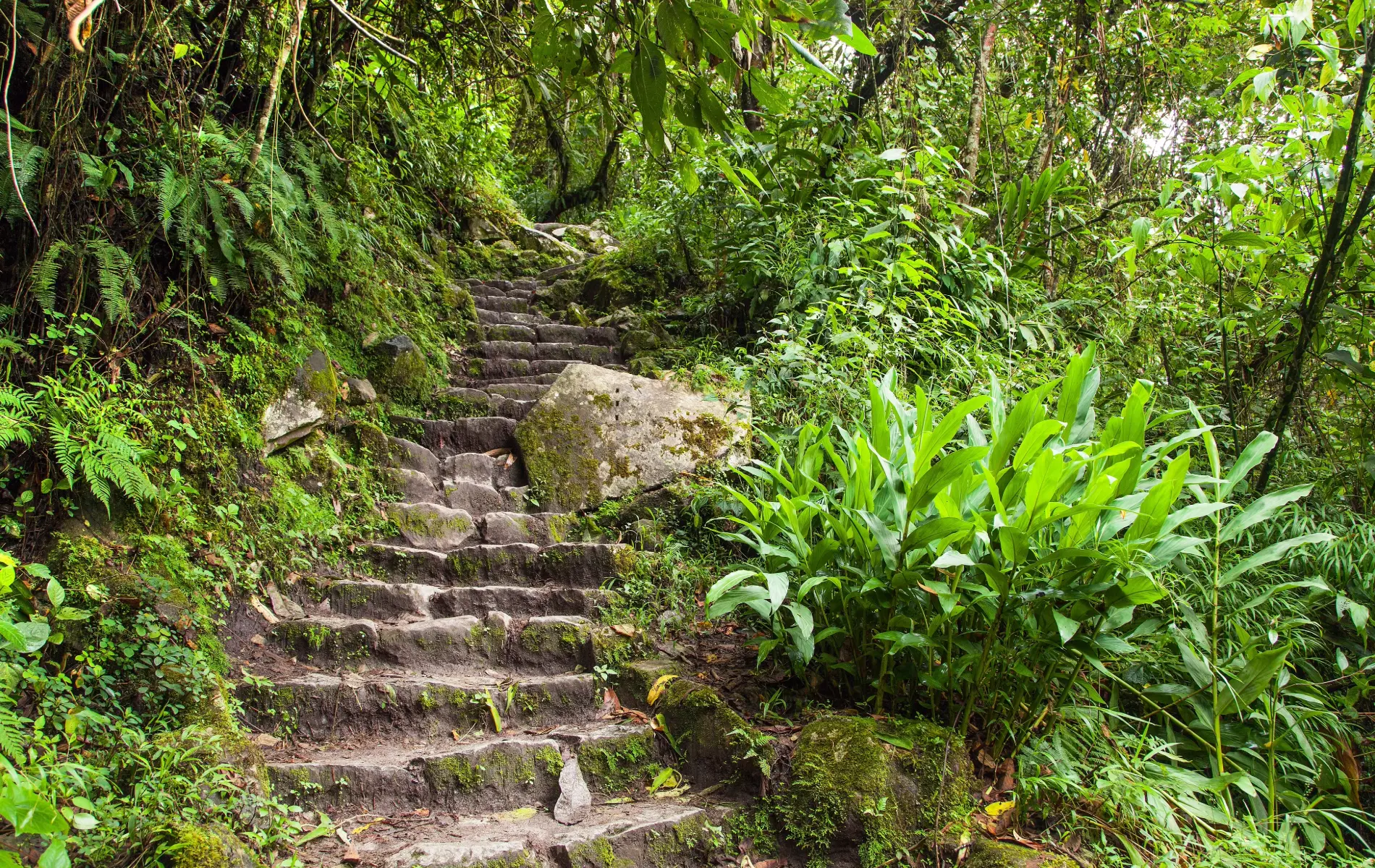 Inca Trail to Machu Picchu (4 Days) - Rainforest Peru Tours