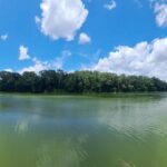 Exploring the Amazon Rainforest